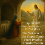 Holy Trinity Catholic Church - Weekly Homilies
