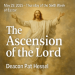 Holy Trinity Catholic Church - Weekly Homilies